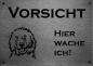 Preview: Edelstahl Warnschild Labradoodle VORSICHT Hier wache ich!